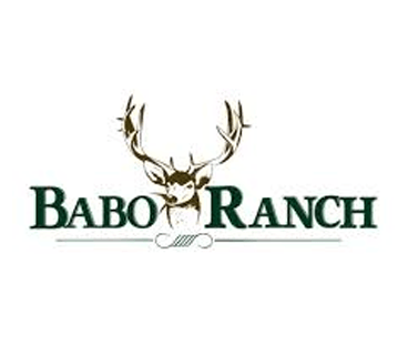 01logo_cliente_web_babo-ranch