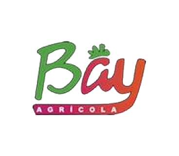 01logo_cliente_web_bay-agricola